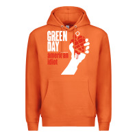 Carrot american idiot Premium Hoodie - artisFamous