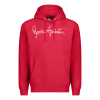 Cardinal janes addiction Premium Hoodie - artisFamous