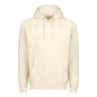 Sandshell janes addiction Premium Hoodie - artisFamous