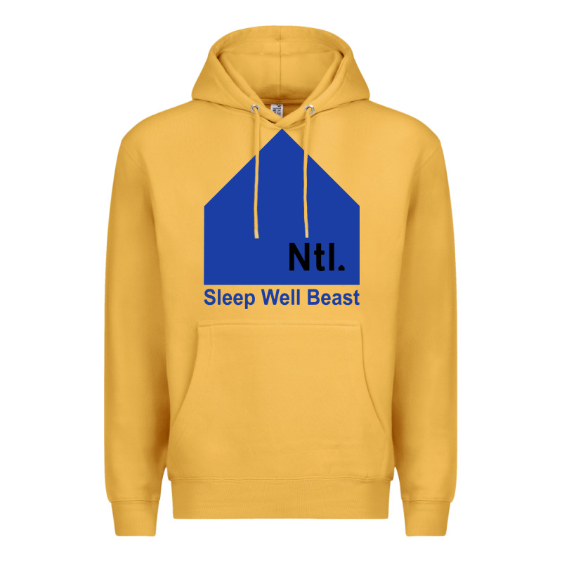 The National Party Premium Hoodie by artisFamous | Teevron
