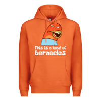 This Is A Load Of Barnacles Premium Hoodie | Teevron