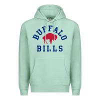 Seafoam vintage distressed bills Premium Hoodie - artisFamous