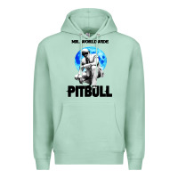 Seafoam merch mr worldwide pit bull Premium Hoodie - artisFamous