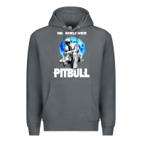 Rock merch mr worldwide pit bull Premium Hoodie - artisFamous