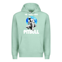 Seafoam merch mr worldwide pit bull Premium Hoodie - artisFamous