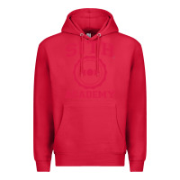 Cardinal sith academy Premium Hoodie - artisFamous