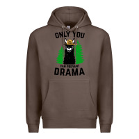 Coffee only you can prevent drama llama Premium Hoodie - artisFamous