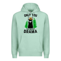Seafoam only you can prevent drama llama Premium Hoodie - artisFamous