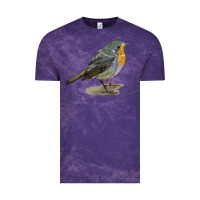 Cloud Purple yellow breast Vintage Tee - LillyAllenDesigns