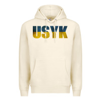 Tofu USYK Premium Hoodie - artisFamous