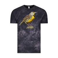 Cloud Black Western Meadowlark Vintage Tee - LillyAllenDesigns