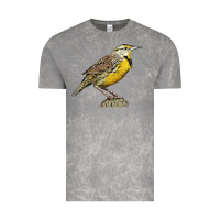 Cloud Rock Western Meadowlark Vintage Tee - LillyAllenDesigns