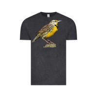 Vintage Black Western Meadowlark Vintage Tee - LillyAllenDesigns