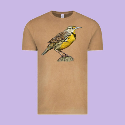 Western Meadowlark Vintage Tee Designed By Lillyallendesigns