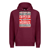 Burgundy malice above the palace essential Premium Hoodie - artisFamous