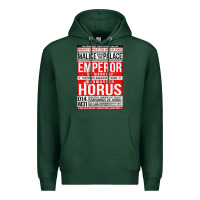 Sports Green malice above the palace essential Premium Hoodie - artisFamous