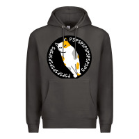 Smoke calico cat Premium Hoodie - artisFamous
