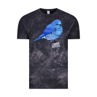 Cloud Black Mountain Bluebird Vintage Tee - LillyAllenDesigns