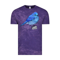 Cloud Purple Mountain Bluebird Vintage Tee - LillyAllenDesigns