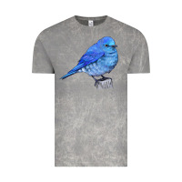 Cloud Rock Mountain Bluebird Vintage Tee - LillyAllenDesigns