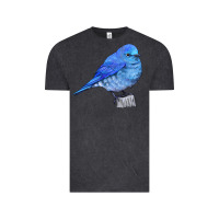 Vintage Black Mountain Bluebird Vintage Tee - LillyAllenDesigns