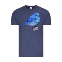 Vintage Denim Mountain Bluebird Vintage Tee - LillyAllenDesigns