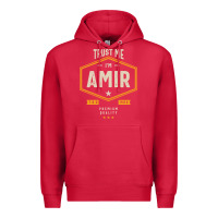 Cardinal Amir Personalized Name Birthday Gift Premium Hoodie - artisFamous
