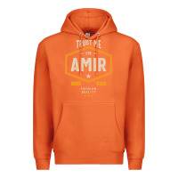 Carrot Amir Personalized Name Birthday Gift Premium Hoodie - artisFamous