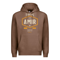 Chestnut Amir Personalized Name Birthday Gift Premium Hoodie - artisFamous