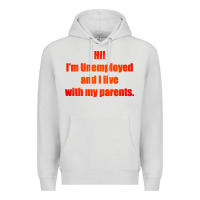 Dove Grey i'm unemployed and i live with my parents Premium Hoodie - artisFamous