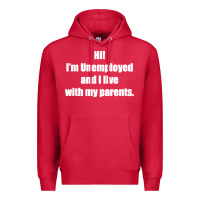 Cardinal i'm unemployed and i live with my parents Premium Hoodie - artisFamous