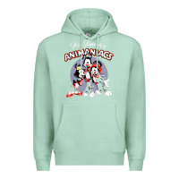 Seafoam it’s time for animaniacs Premium Hoodie - artisFamous