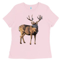 Bubblegum Pink Mule Buck Deer Ladies Tee - LillyAllenDesigns