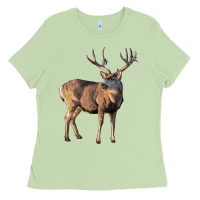 Matcha Mule Buck Deer Ladies Tee - LillyAllenDesigns