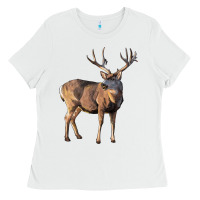 White Mule Buck Deer Ladies Tee - LillyAllenDesigns