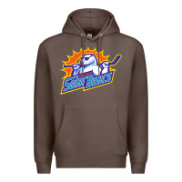 Coffee solar bears Premium Hoodie - artisFamous