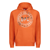 Carrot DASHBOARD CONFESSIONAL Premium Hoodie - artisFamous