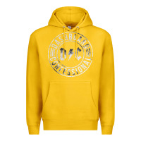Lemon DASHBOARD CONFESSIONAL Premium Hoodie - artisFamous