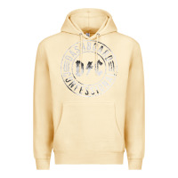 Pina Colada DASHBOARD CONFESSIONAL Premium Hoodie - artisFamous