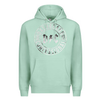 Seafoam DASHBOARD CONFESSIONAL Premium Hoodie - artisFamous