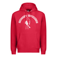 Cardinal DASHBOARD CONFESSIONAL Premium Hoodie - artisFamous