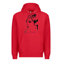 Red Design barbra streisand Premium Hoodie - artisFamous