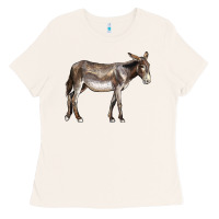 Bone american mammoth jackstock donkey Ladies Tee - LillyAllenDesigns