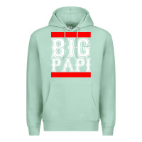 Seafoam big papi Premium Hoodie - artisFamous