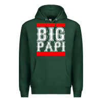 Sports Green big papi Premium Hoodie - artisFamous