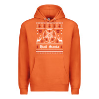 Carrot hail santa ugly christmas sweater   sweatshirt Premium Hoodie - artisFamous