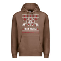 Chestnut hail santa ugly christmas sweater   sweatshirt Premium Hoodie - artisFamous