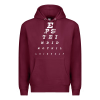 Burgundy epstein did not kill himself Premium Hoodie - artisFamous