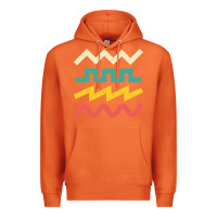 Carrot synthetiseur Premium Hoodie - artisFamous