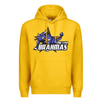 Lemon lone star brahmas Premium Hoodie - artisFamous